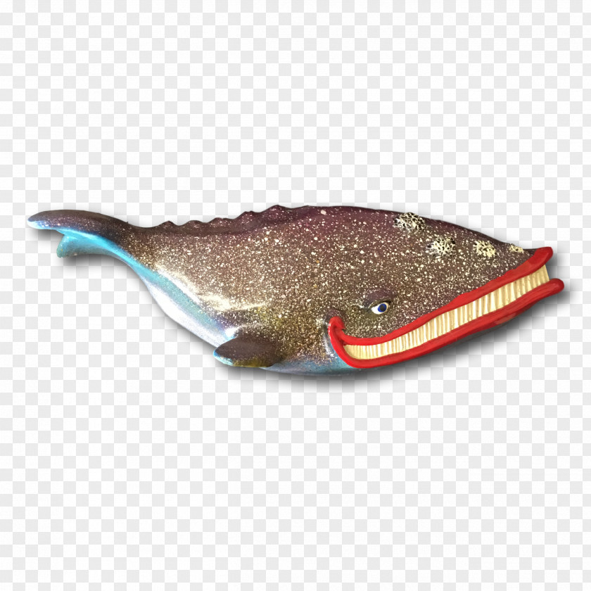 Metal Sole Fish PNG