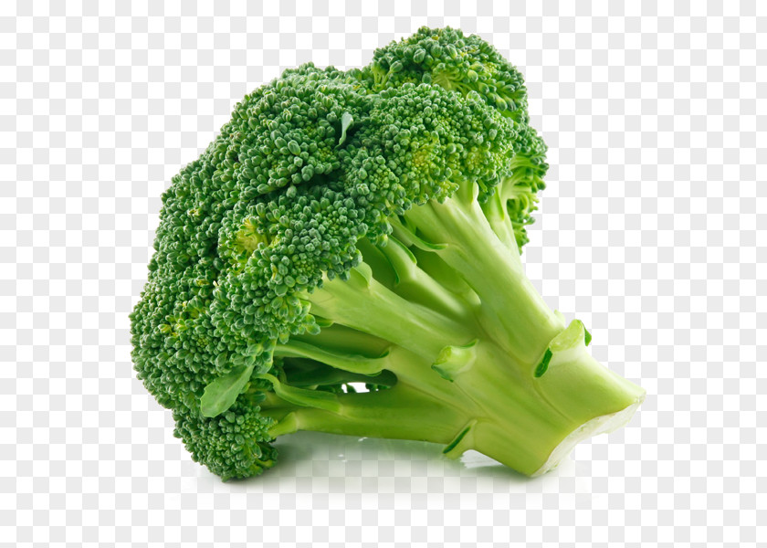 Pak Choi Organic Food Broccoli Vegetarian Cuisine Green Bean PNG