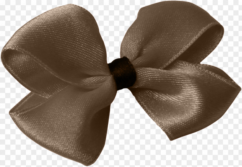 Beautiful Brown Tie Ribbon Necktie Lazo PNG