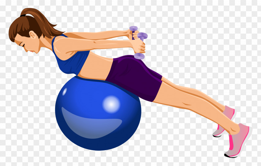 Belly Fat Exercise Balls Yoga & Pilates Mats Medicine PNG