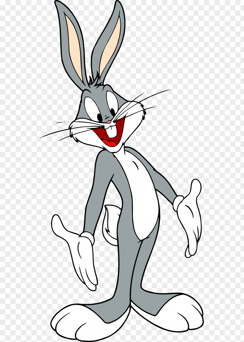 Bunny Bugs Elmer Fudd Looney Tunes Daffy Duck Cartoon PNG