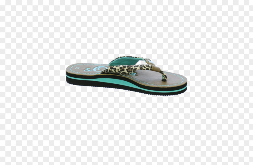 Design Flip-flops Shoe PNG