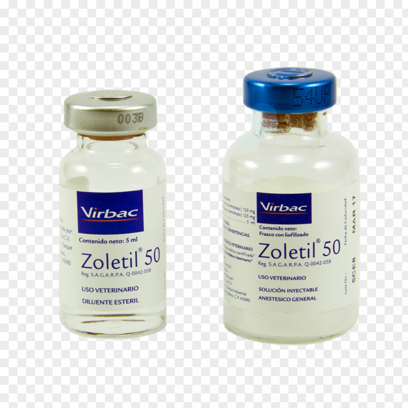 Dog Tiletamine Zolazepam Xylazine Injection PNG