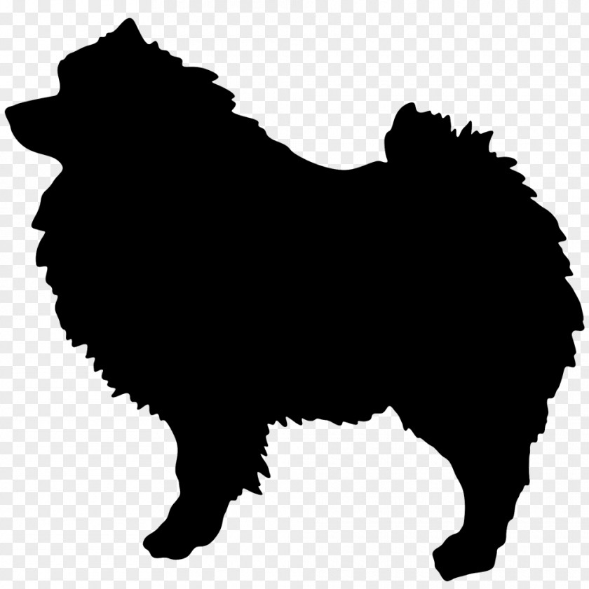 Eurasier German Spitz Pomeranian Background PNG