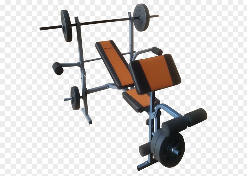 Fitness Centre Physical Exercise Bikes Aerobics PNG