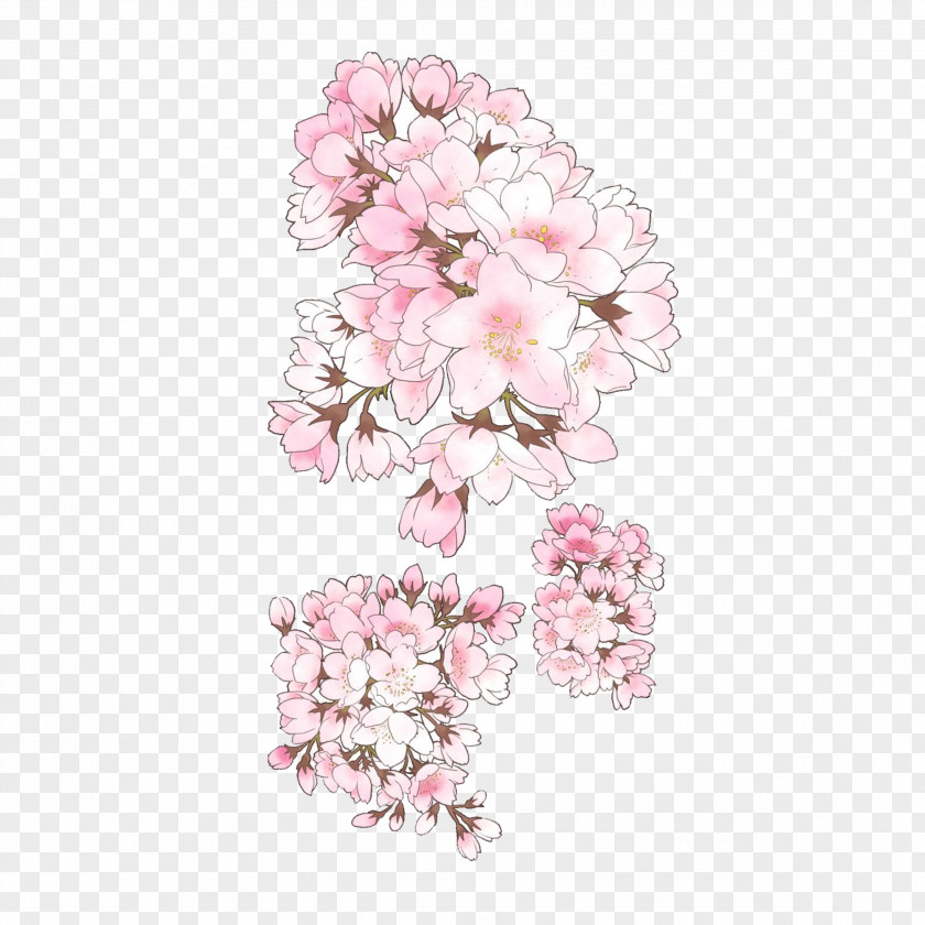 Retro Hand-painted Cherry Trees Buckle Free Material Pixiv Blossom Drawing Illustration PNG