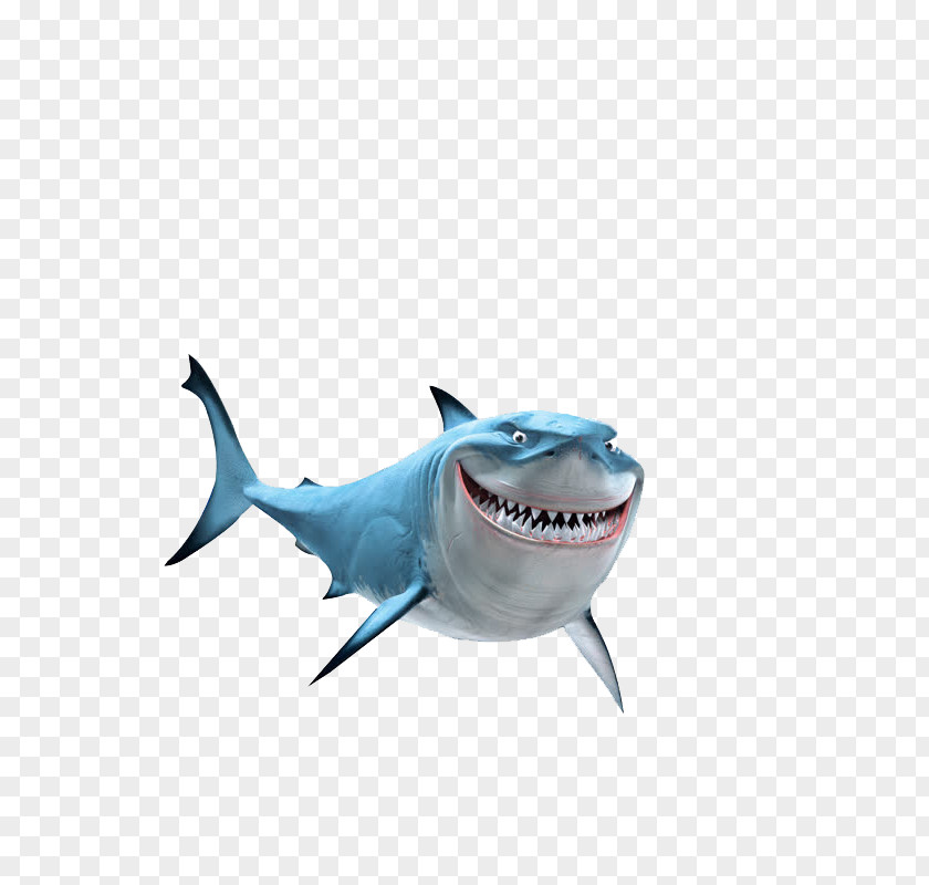 Shark Finding Nemo Marlin Bruce Pixar Clip Art PNG