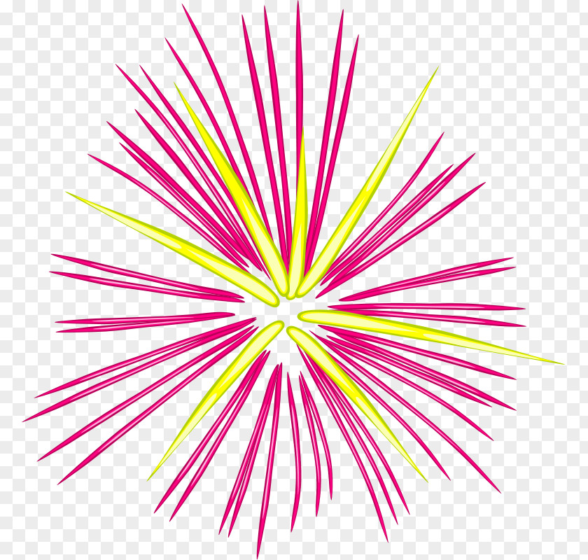 Fireworks Clip Art PNG