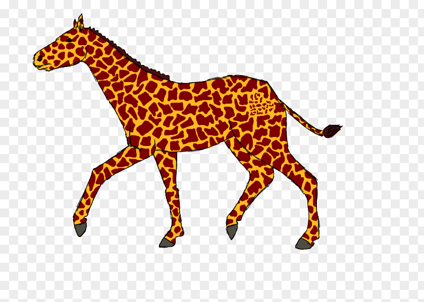 Giraffe Horse Cat Terrestrial Animal Neck PNG