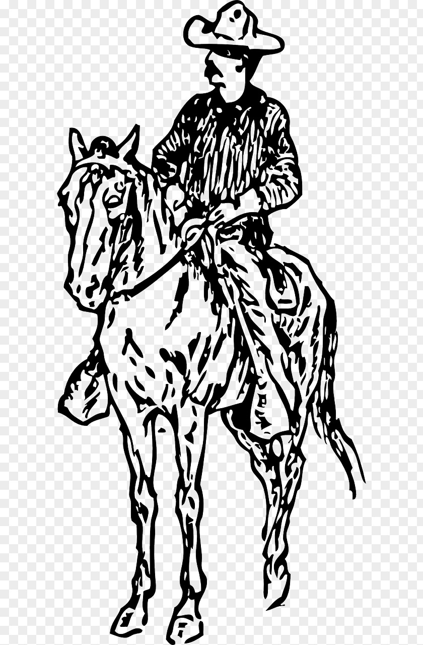 Horse Equestrian Drawing Cowboy Clip Art PNG