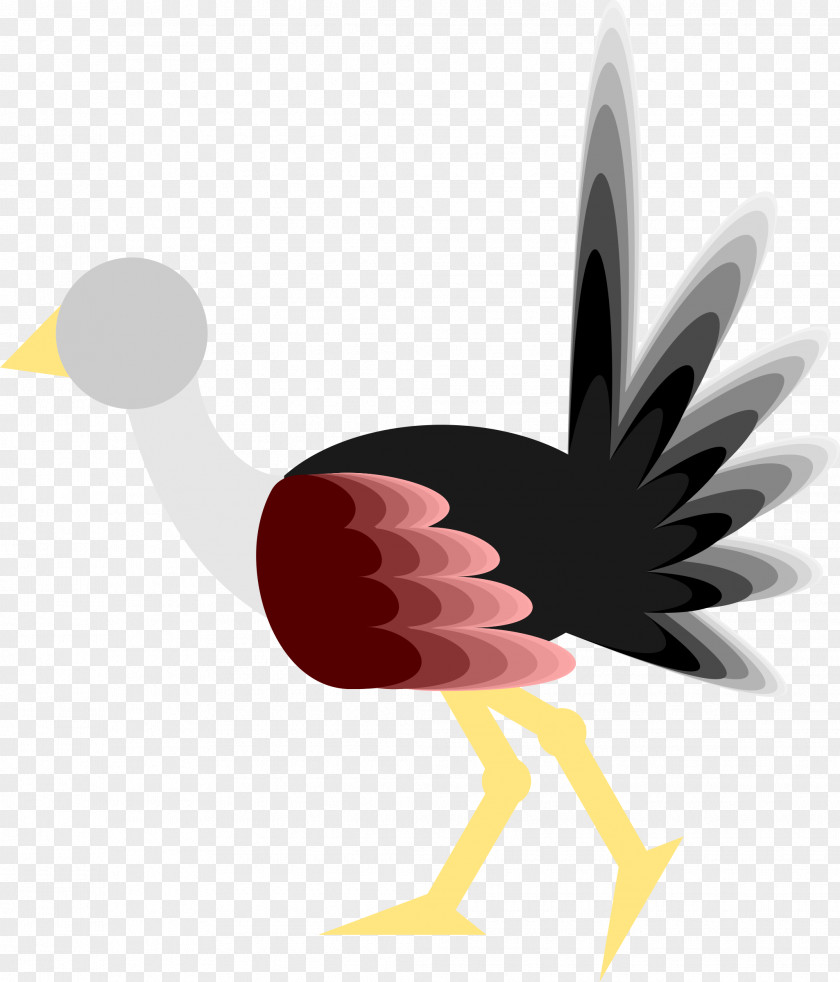 Ostrich Bird Common Windows Metafile Clip Art PNG