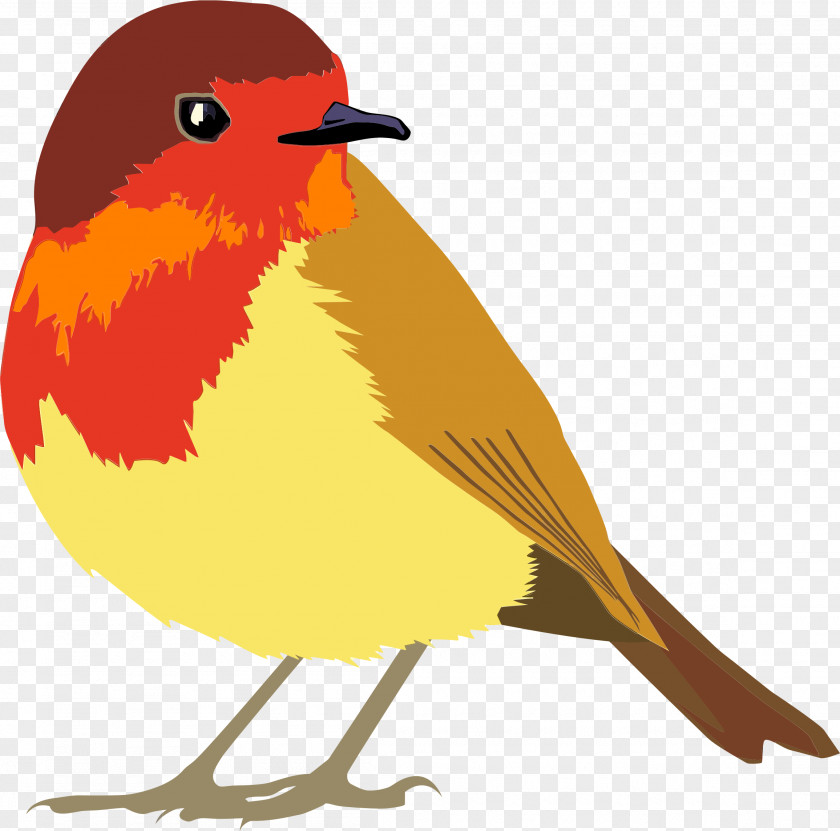 Quail Lovebird European Robin Clip Art PNG