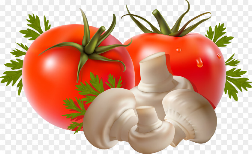 Tomato Vegetable Food Fruit PNG
