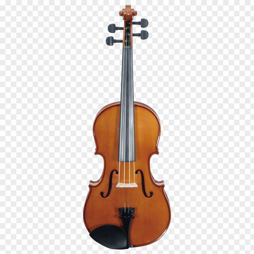 Violin Musical Instruments Bow Fiddle Viola PNG