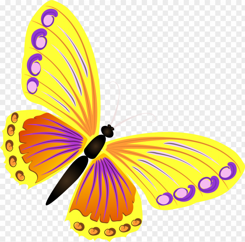 Yellow Butterfly PNG