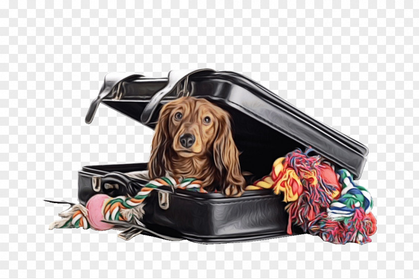 Bag Companion Dog And Cat PNG