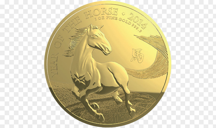Coin Gold Horse Mammal PNG