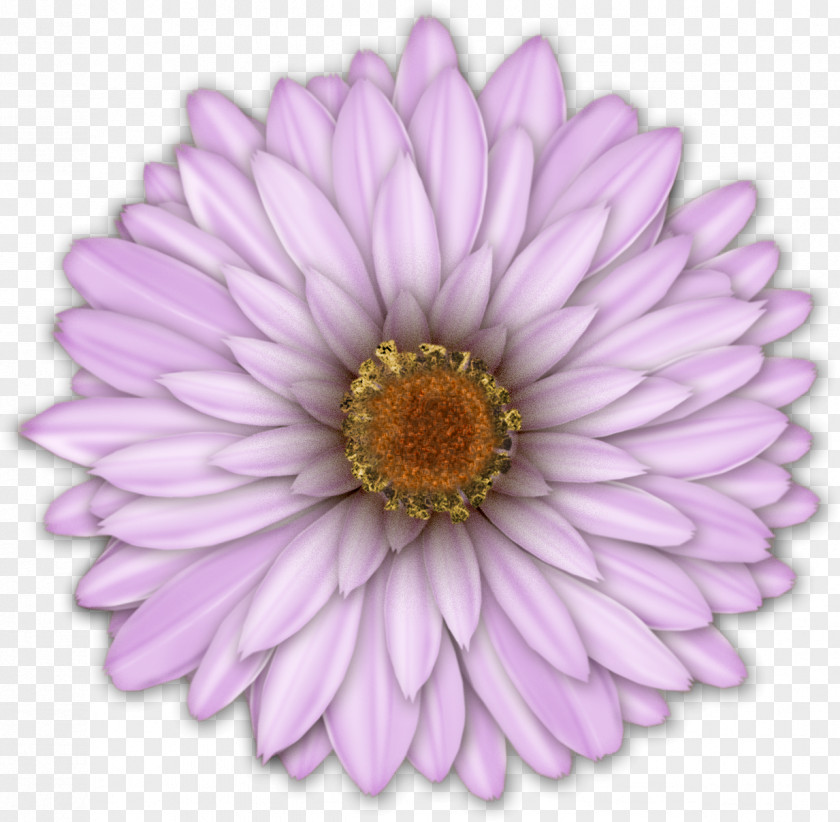 Dahlia Flower Art Watercolor Painting Clip PNG