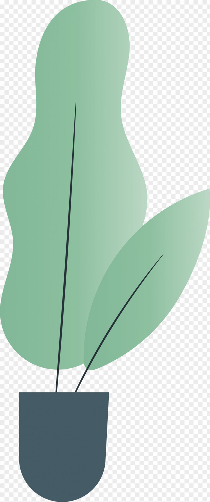 Leaf Green Font Flower Plants PNG