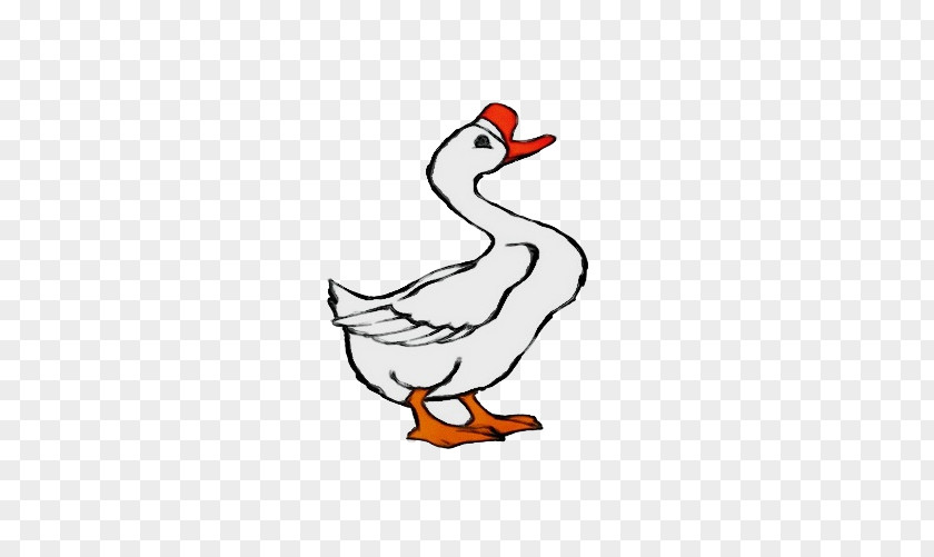 Livestock Waterfowl Bird Duck Goose Beak Water PNG