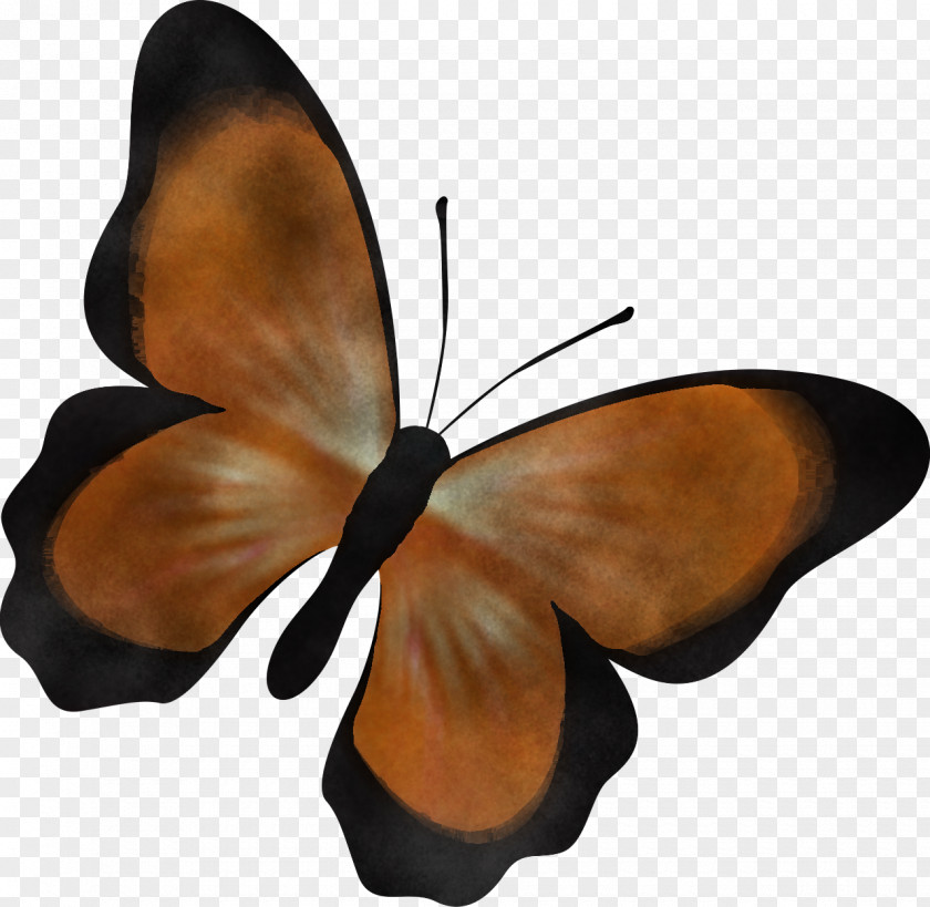 Monarch Butterfly PNG