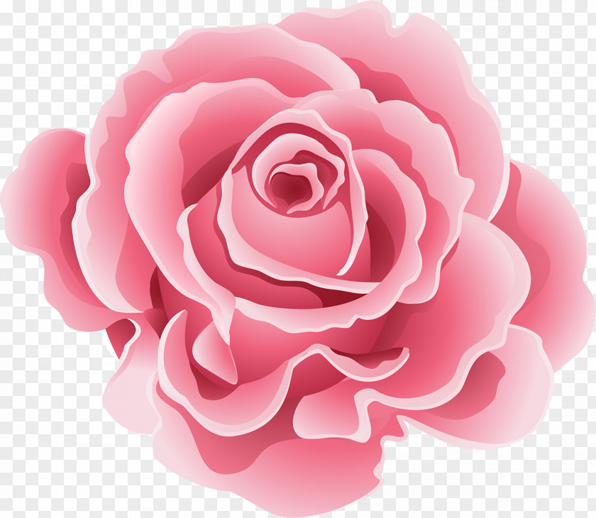 Pink Rose Flower Paper Garden Roses Clip Art PNG