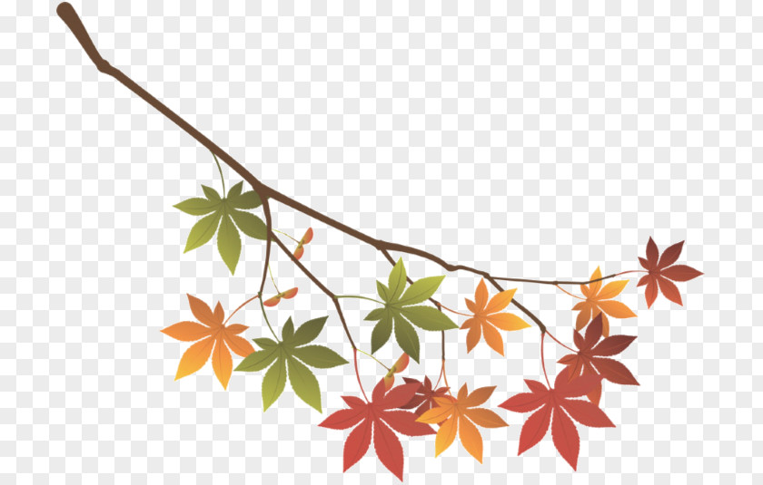 Twig Maple Leaf New Year Tree Branch PNG