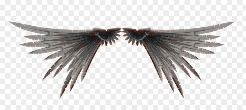 Wings 3D Computer Graphics Rendering PNG