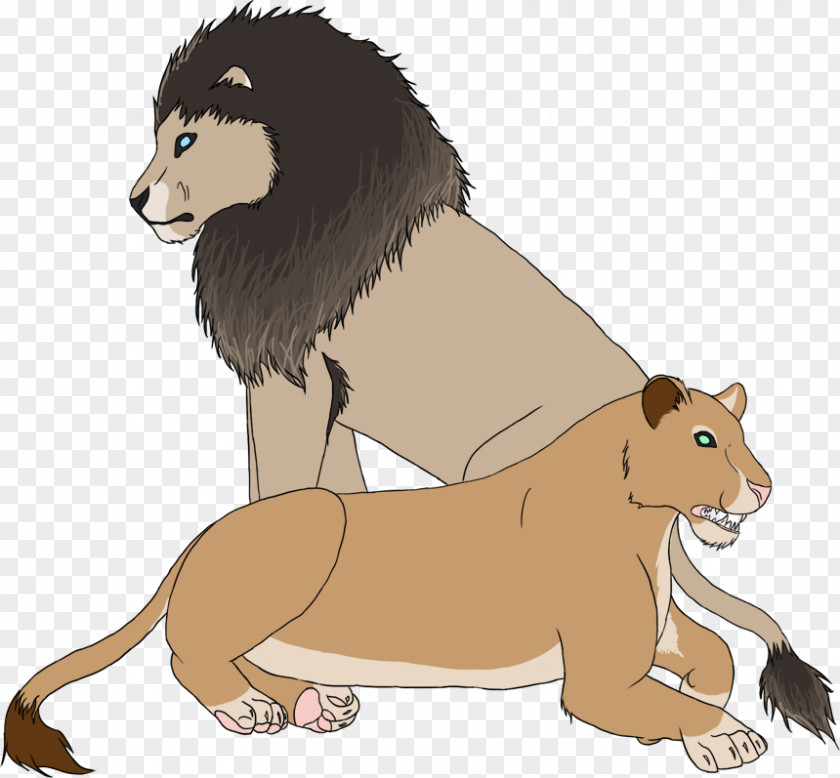 Lion Cat Dog Canidae Terrestrial Animal PNG