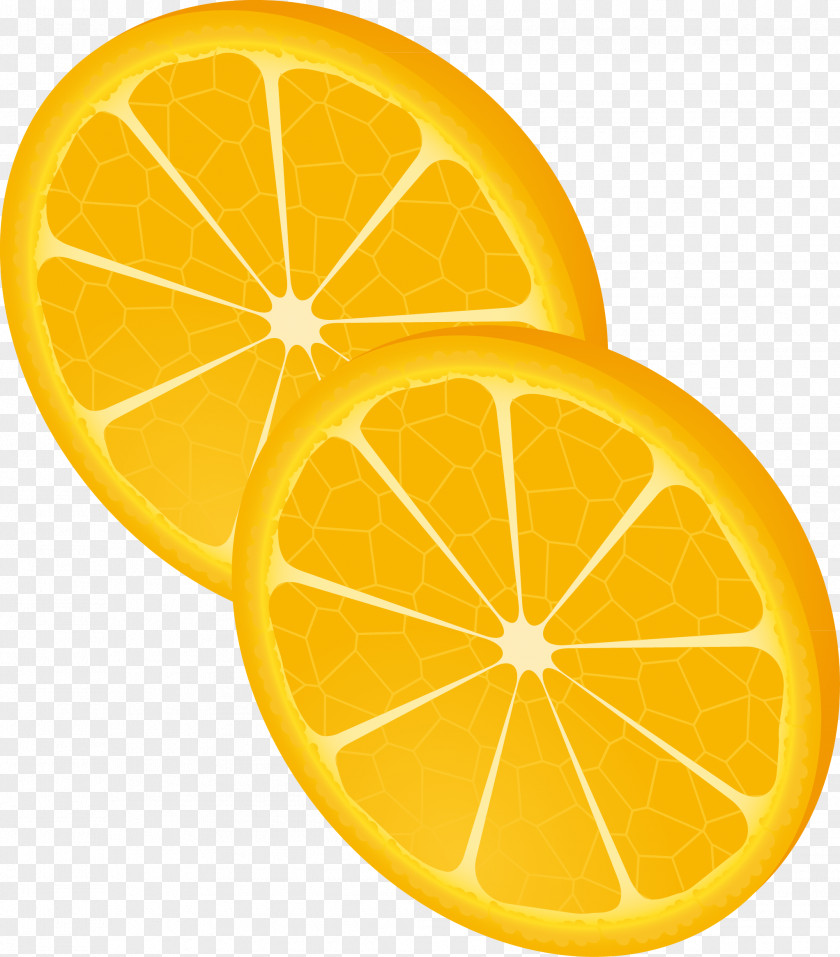 Orange Lemon Fire Hand-painted Vector Euclidean PNG