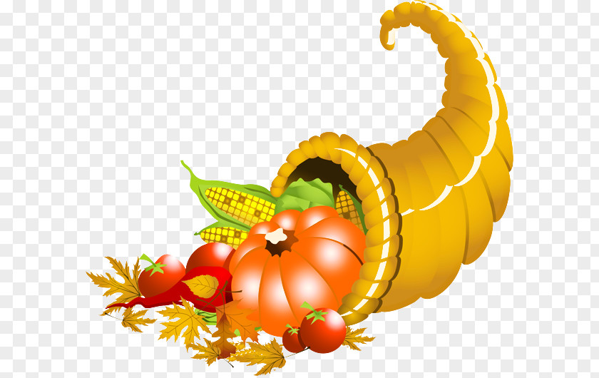 Plant Gourd Thanksgiving PNG