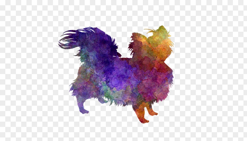 Romero Chihuahua Rooster Watercolor Painting Zazzle Feather PNG