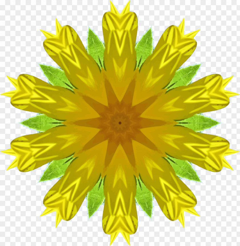 Sunflower Common Dandelion Clip Art PNG