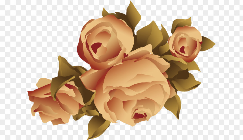 Yellow Roses Floral Elements Garden Beach Rose Flower Adobe Illustrator PNG