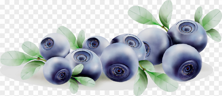 Bilberry Blueberry Product Body Jewellery Cut Flowers PNG