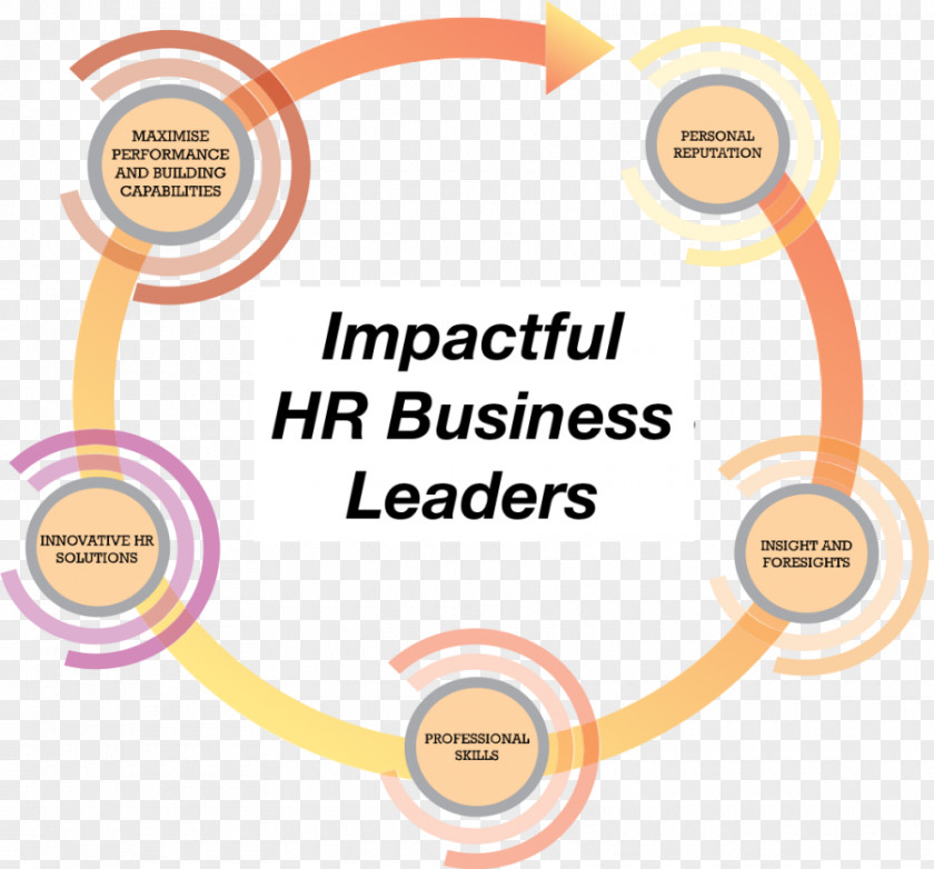 Business Leadership Organization Human Resource Line Management PNG
