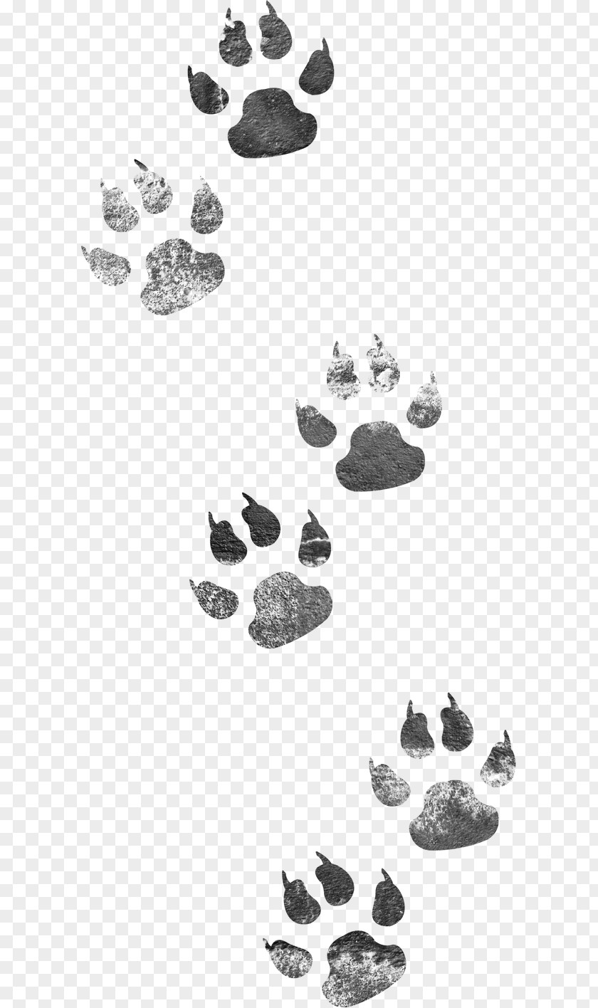 Dog Footprints Cat PNG