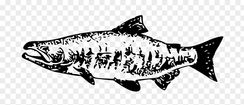 FISH CLIPART Chum Salmon Chinook Sockeye Clip Art PNG