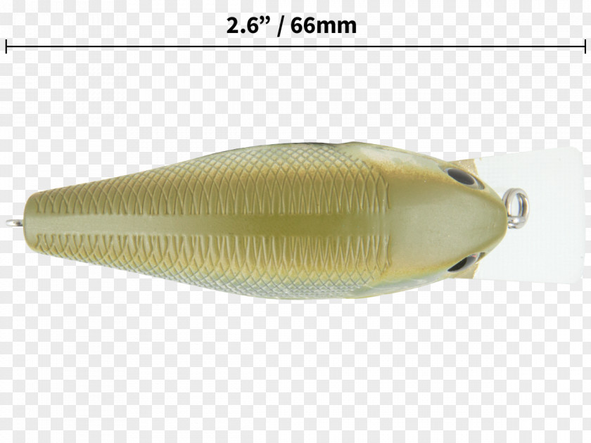 Fish Spoon Lure Milkfish Osmeriformes PNG