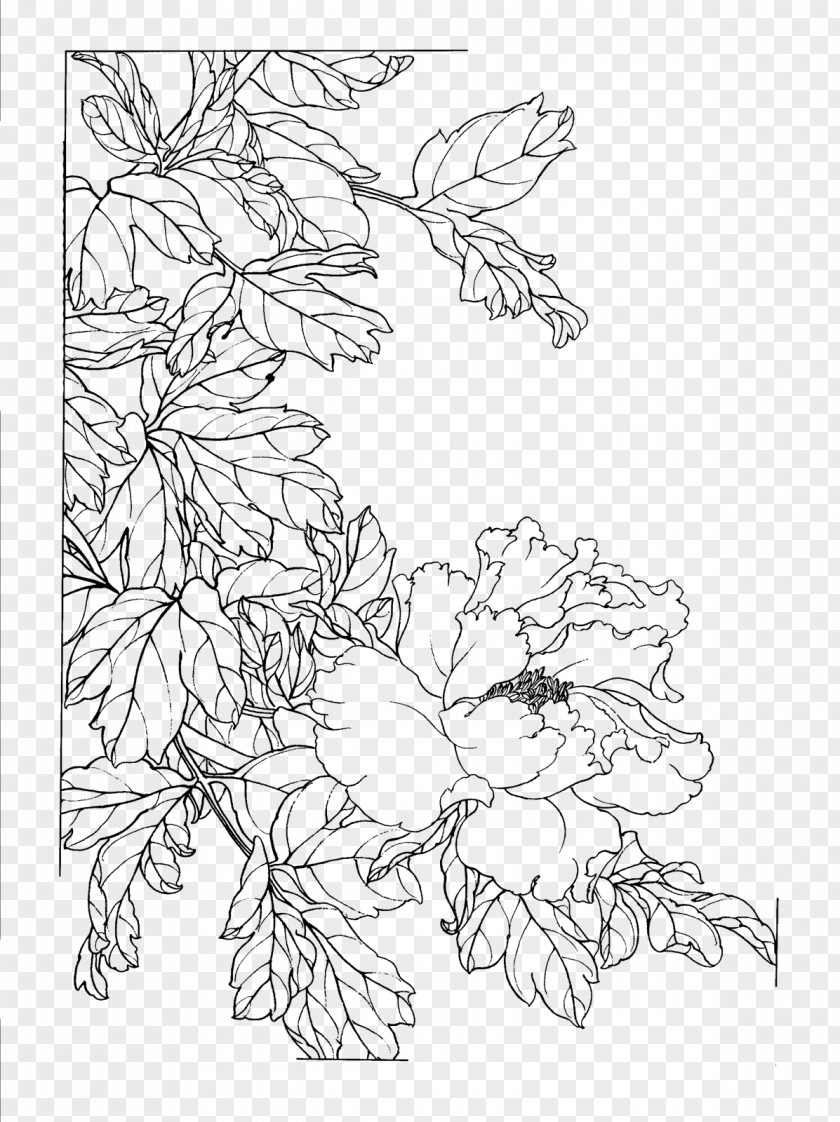 Peony Flower Painted Line Drawing Gongbi Chinese Painting Sketch PNG