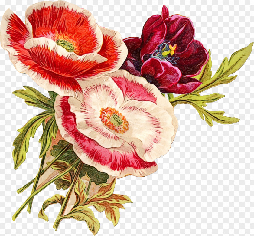 Bouquet Peony Rose PNG
