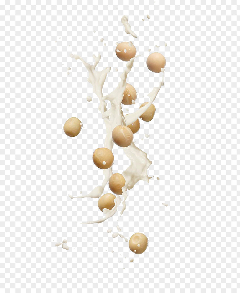 Delicious Soy Milk Soybean Almond Breakfast PNG