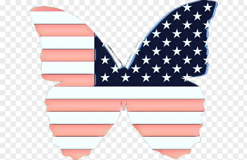 Flag Of The United States Bikini Pink Line PNG