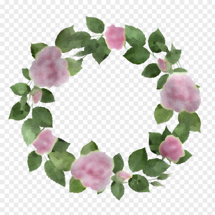 Floral Design PNG