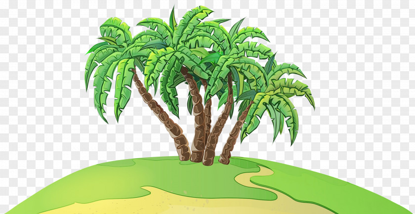 Flowering Plant Vascular Cartoon Palm Tree PNG