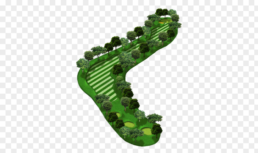 Plant Shoe PNG