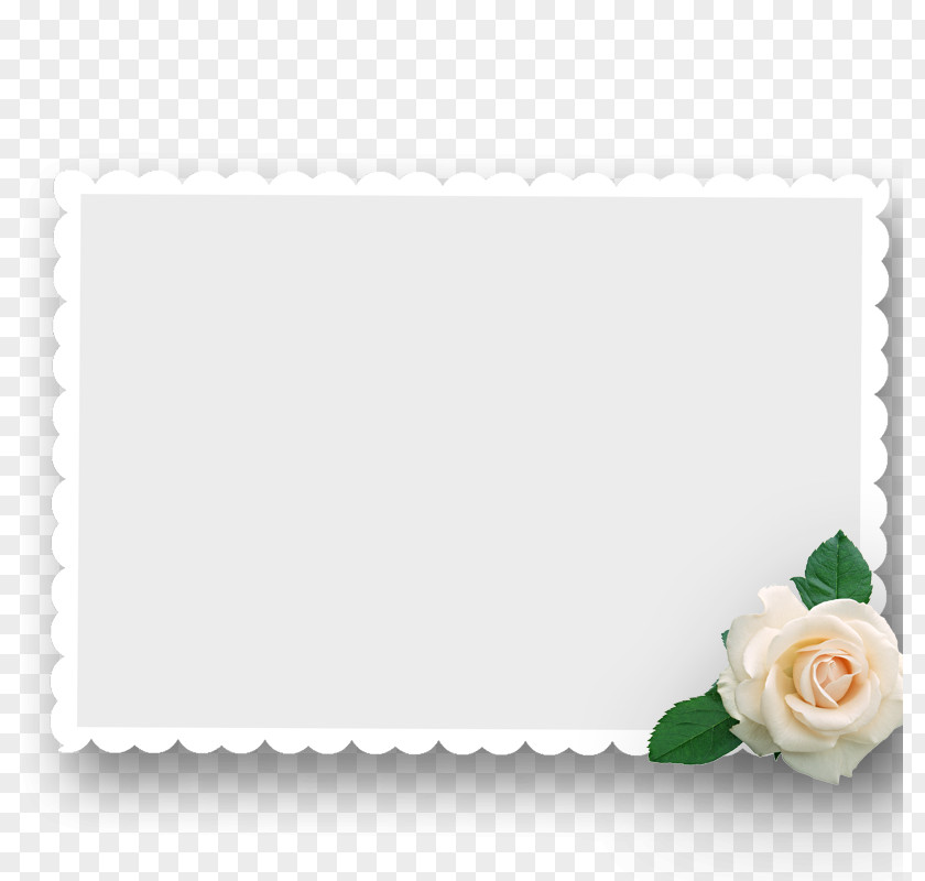 Rose Stamp Box Beach Picture Frame Postage PNG