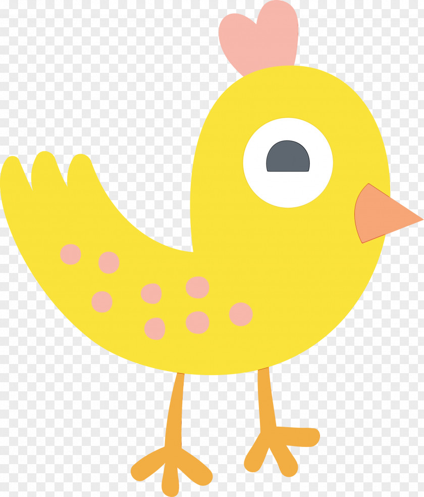 Beak Ducks Chicken Water Bird Birds PNG