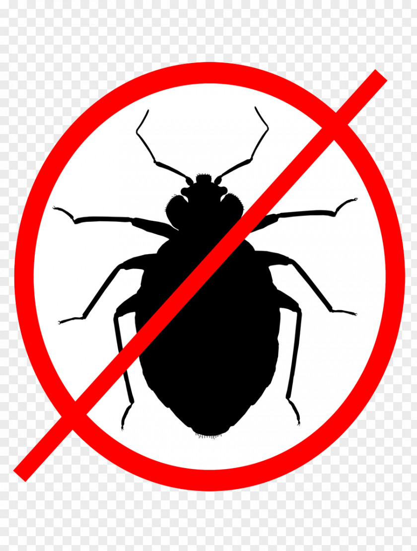 Cockroach Insect Bed Bug Software Pest Clip Art PNG
