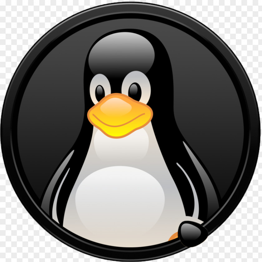 Linux Distribution Free And Open-source Software Model PNG
